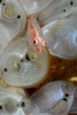 �����@��l